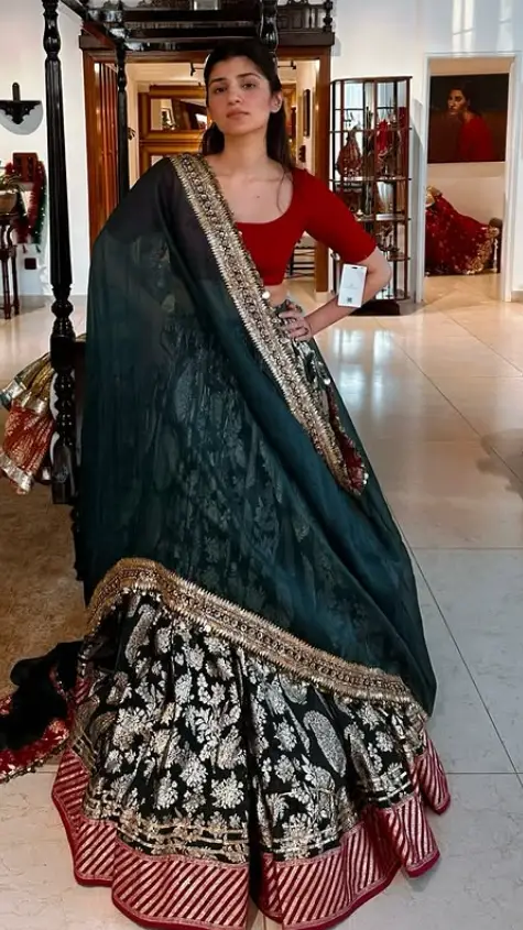 Lesser-Known Facts About Maheen Siddiqui