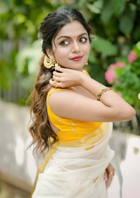 Lesser-Known Facts About Hansika Krishna